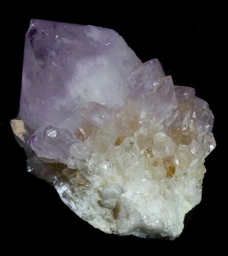Cactus Quartz (Amethyst) Crystal - South Africa #34966
